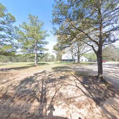3D Tree Service