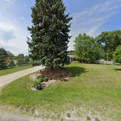 Old Growth Tree Services