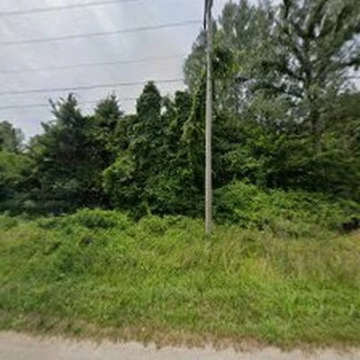 A Cut Above Tree Care!