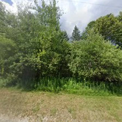 Totally Trees
