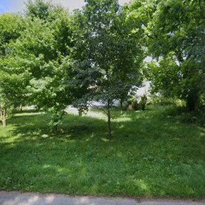 Michigan Tree Fellers LLC