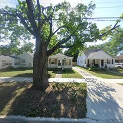 West Roots Tree Service