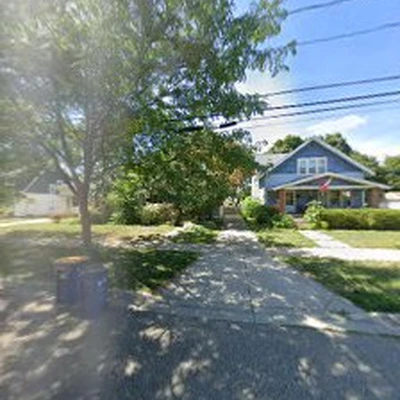 MV Tree LLC