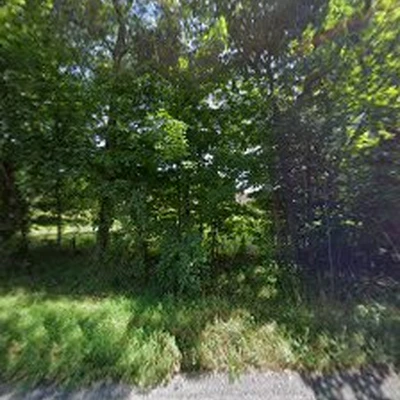 A Cut Above Tree Service & Timber Harvesting