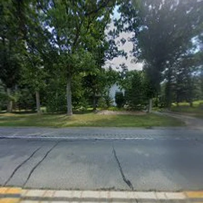 Urban loggers Tree Service