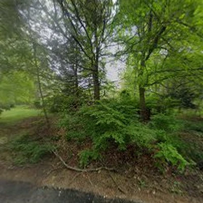 Superior Stump Grinding
