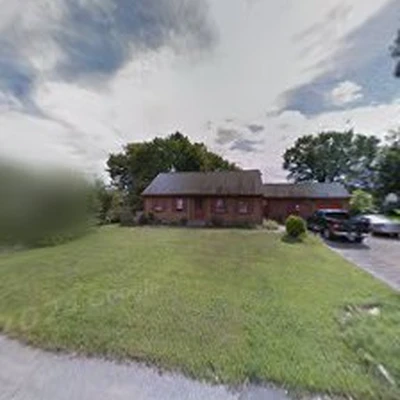 Statewide Tree And Stump Service