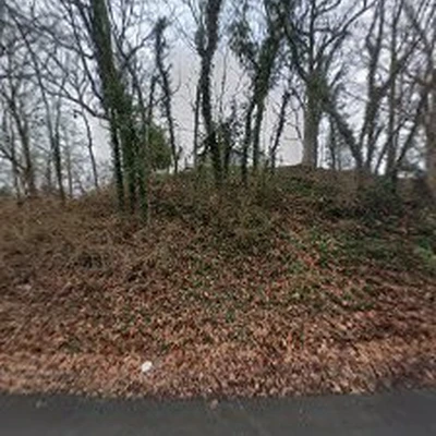 Utility Arborist of Tennessee LLC