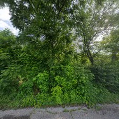 GTZ Tree Service