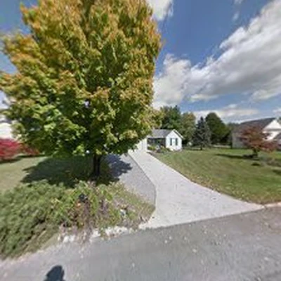 A&C Professional Tree Service