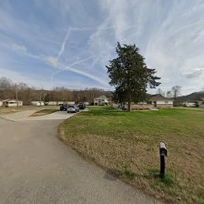 Elite Tree Service