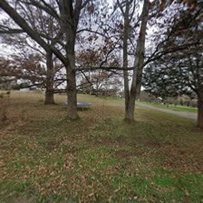 Tree Commando