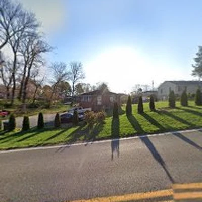 Tree Service Dener Vasquez