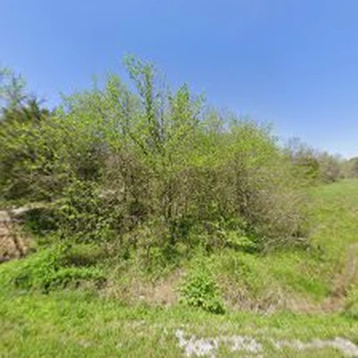 Lucky’s Tree Removal and Landscape Services