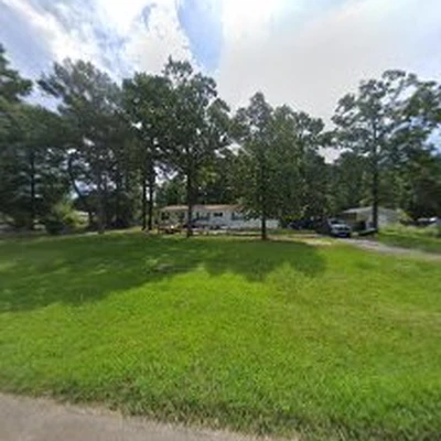 Tree Time Elite Tree Care