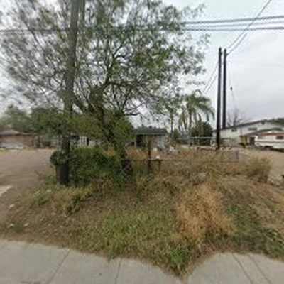 Juan Palmas Tree Service Stump grinding