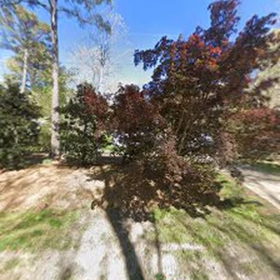 Dan's Tree Service