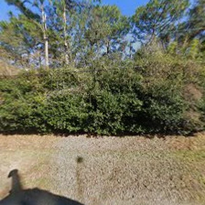 Alabama Tree Surgeons