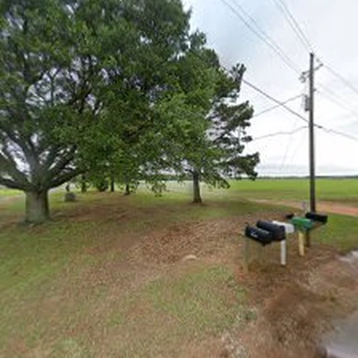 Superior Stump Grinding