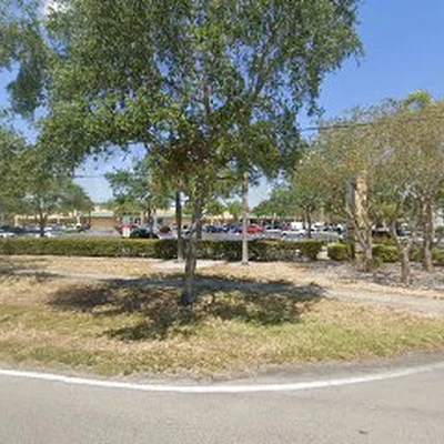 Ace Tree Removal Service