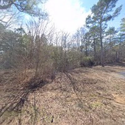 Ron Raby Tree Service