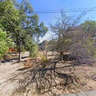 Northgate Tree Care