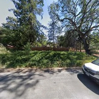 Systemic Tree Service, Inc.