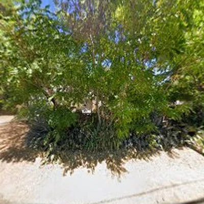 Avr Tree Service