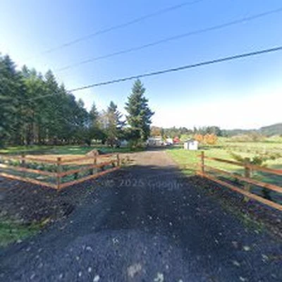 Three Peaks Tree Service LLC