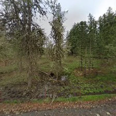 Parrish Land Clearing - Stump Grinding, Land Clearance, Mulching Service