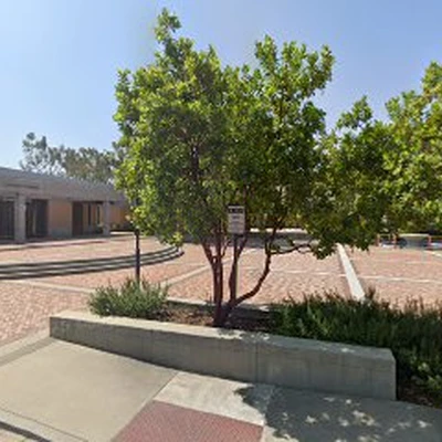 Tree Trimming San Dimas