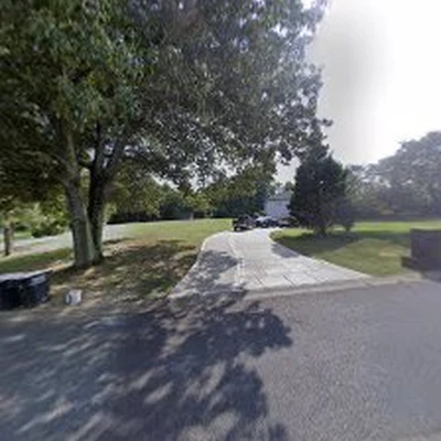 A Premier Tree Service
