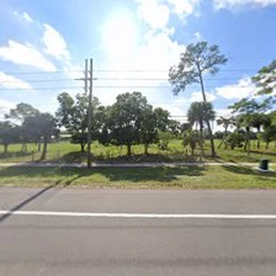 Selective Land Clearing
