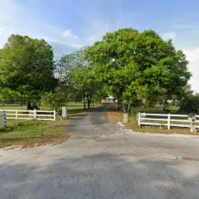 Kenneth Collins Tree Service