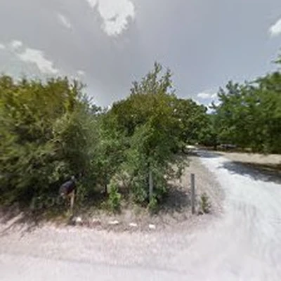 North Texas Tree Specialists