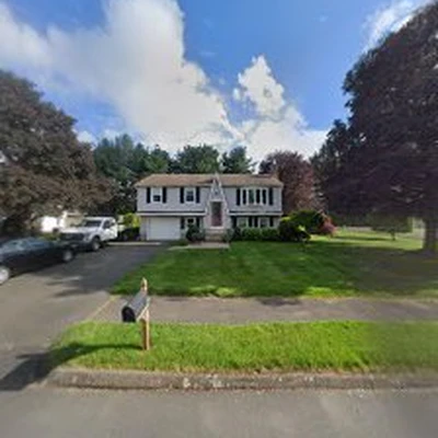 Richy's Tree Services