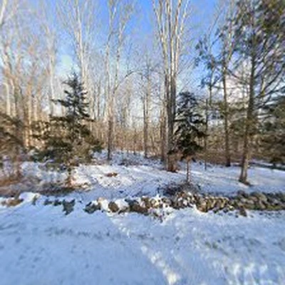 River Valley Tree Expert