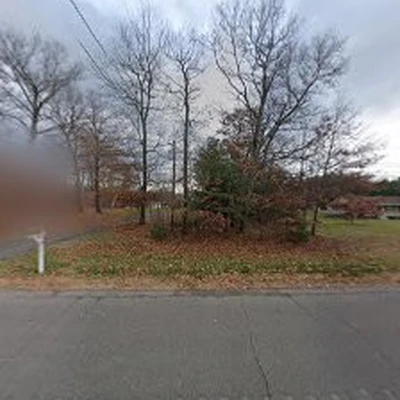 Tree Masters Inc