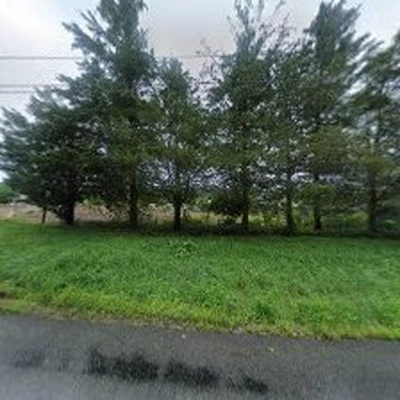 Country Tree Experts
