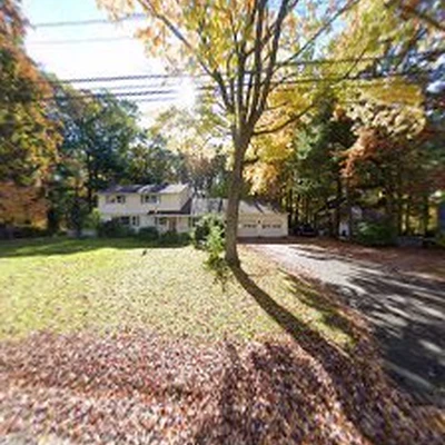 DC TREE LLC
