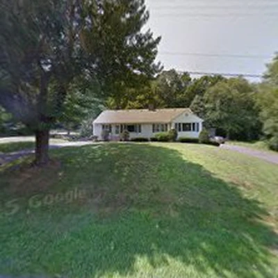 Wood Land Tree & Landscape llc