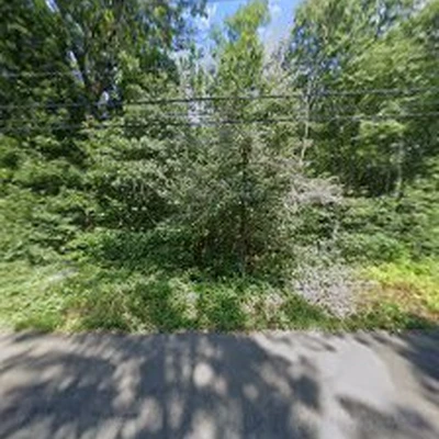 Louie's Tree Services LLC