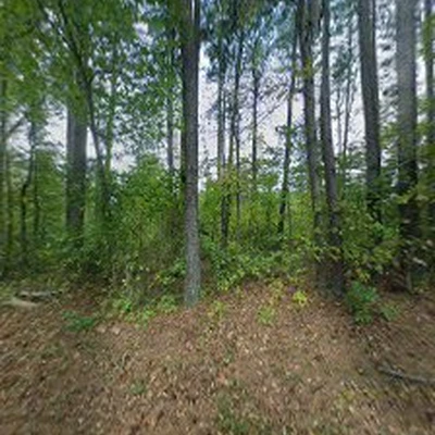 4 Seasons Tree Service