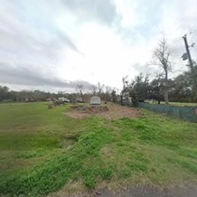 The Tree Guy
