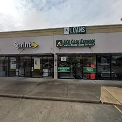 Oasis Tree Company
