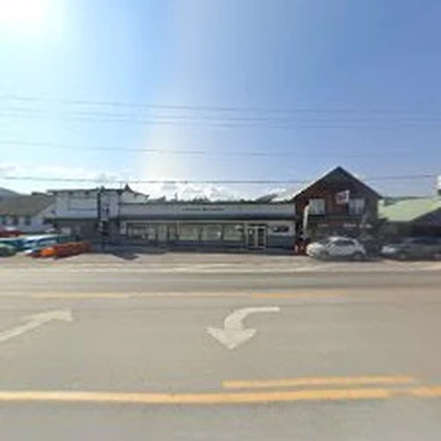 Fox Electric