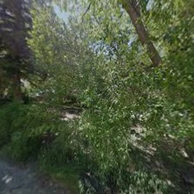 All Seasons Tree Services-Anaconda