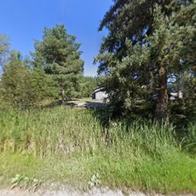 Flathead Tree and Landscape