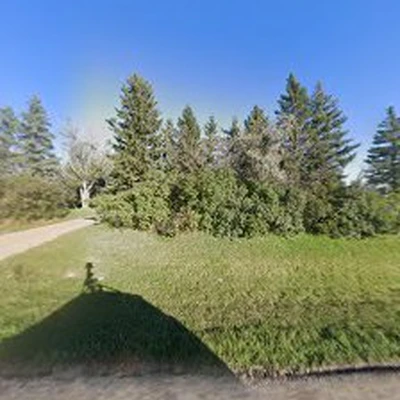 Cutting Edge Yard Art