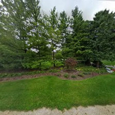 Golden Tree & Landscape INC.